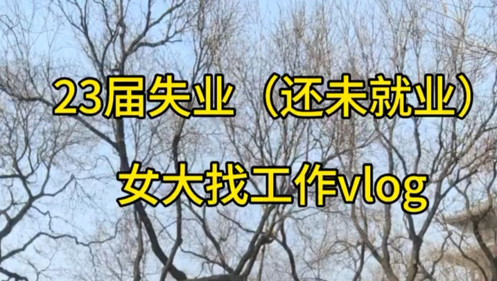 23届至今没找到工作,记录下三个月前找不到工作的我迷茫焦虑,哔哩哔哩bilibili