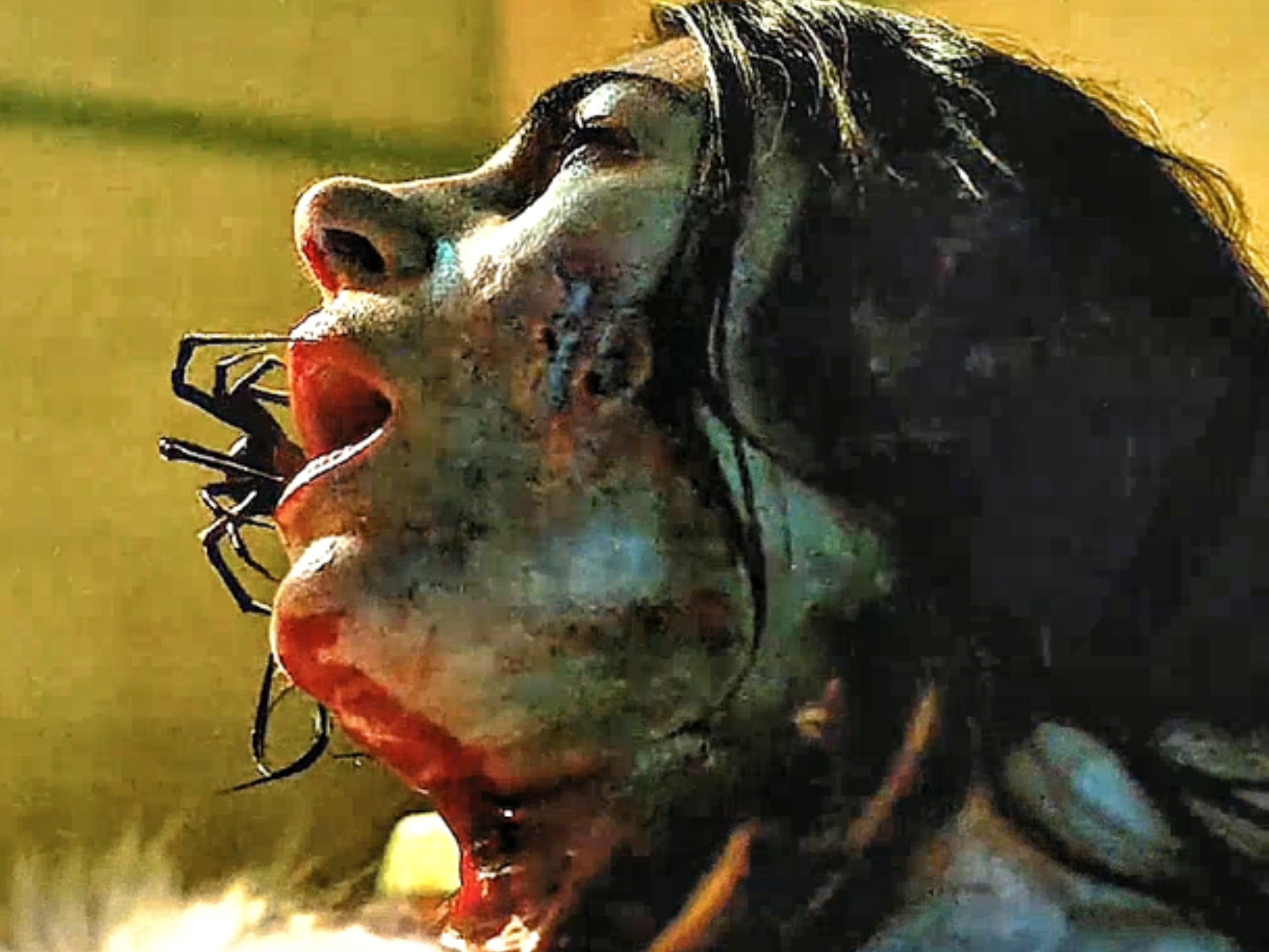 变异蜘蛛爬进了女人的嘴里 直接将女人送去了西北