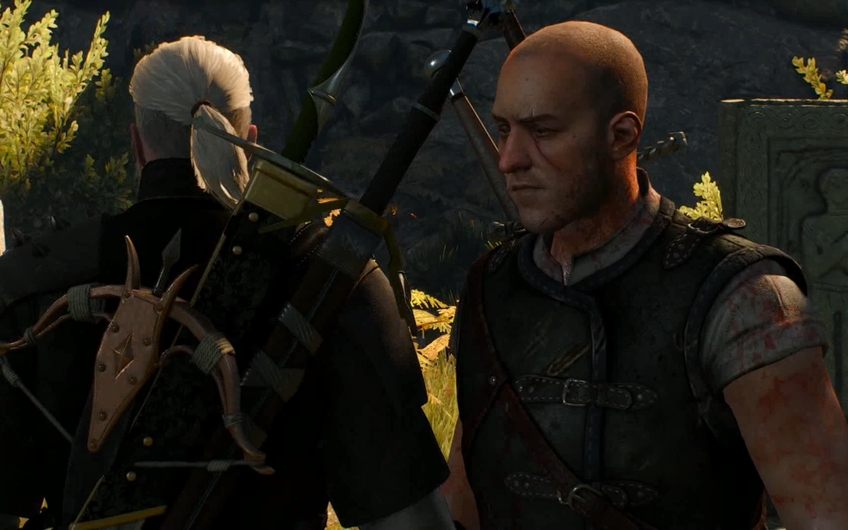 【巫师3】猫与狼一起玩耍的地方_哔哩哔哩 (゜-゜)つロ 干杯~-bili