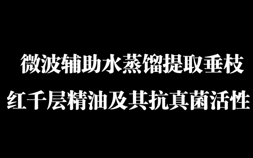 微波辅助水蒸馏提取垂枝红千层精油及其抗真菌活性哔哩哔哩bilibili