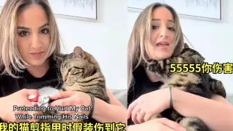 女生假装剪指甲时剪到猫咪，下秒猫咪反应萌化网友：撒娇精吧这是！