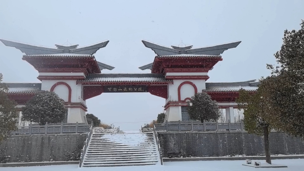 [图]2月2日 洛阳 首阳山大雪 纯享版