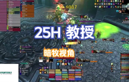 [图]魔兽世界 巫妖王之怒WLK 暗牧 vs 25H教授