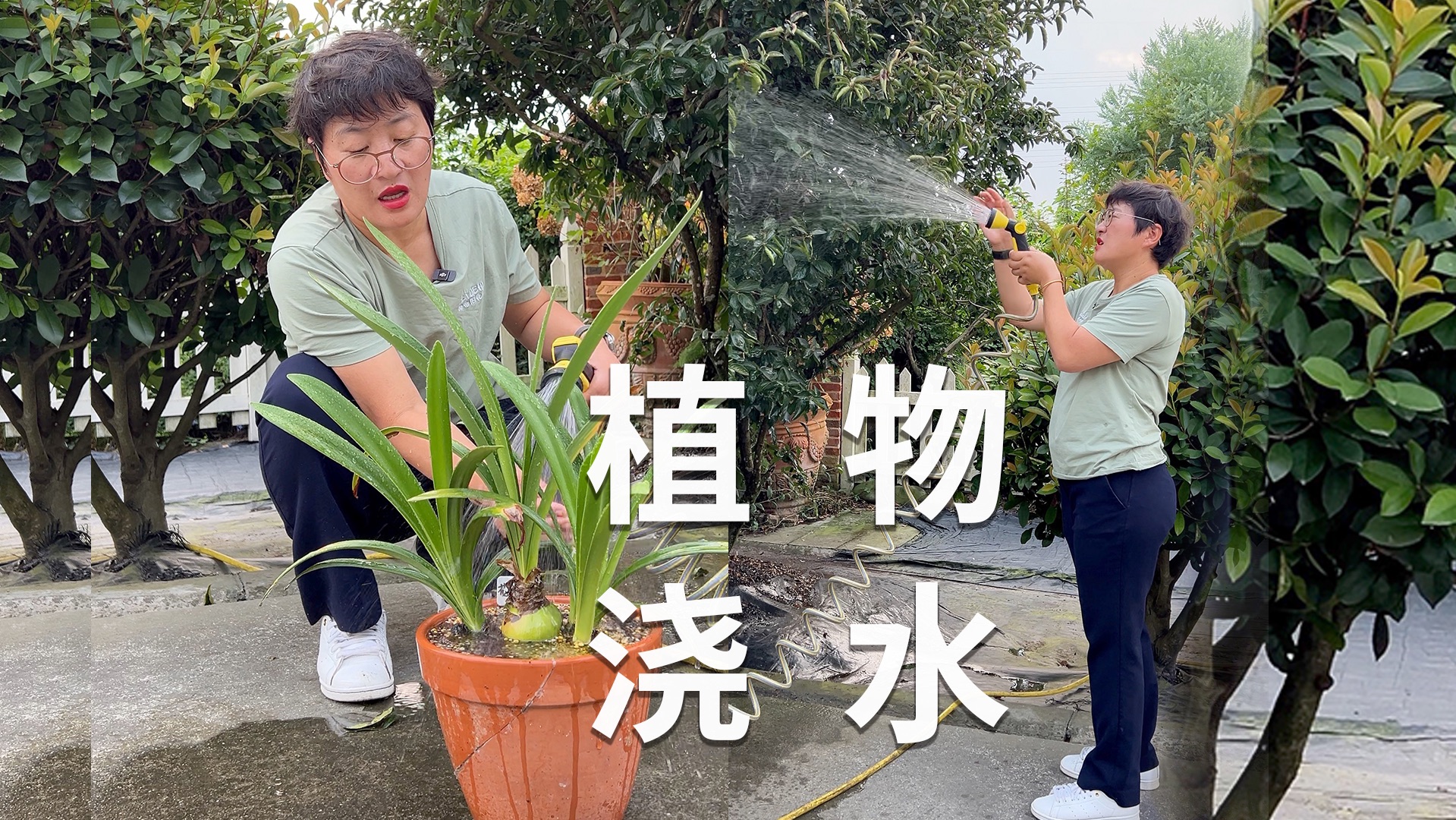 植物夏季喊“救命”,你真的浇对水了吗?哔哩哔哩bilibili