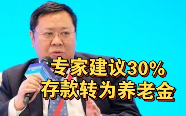 如何做大个人养老金?叶海生:建议把家庭30%普通储蓄转化成养老储备哔哩哔哩bilibili