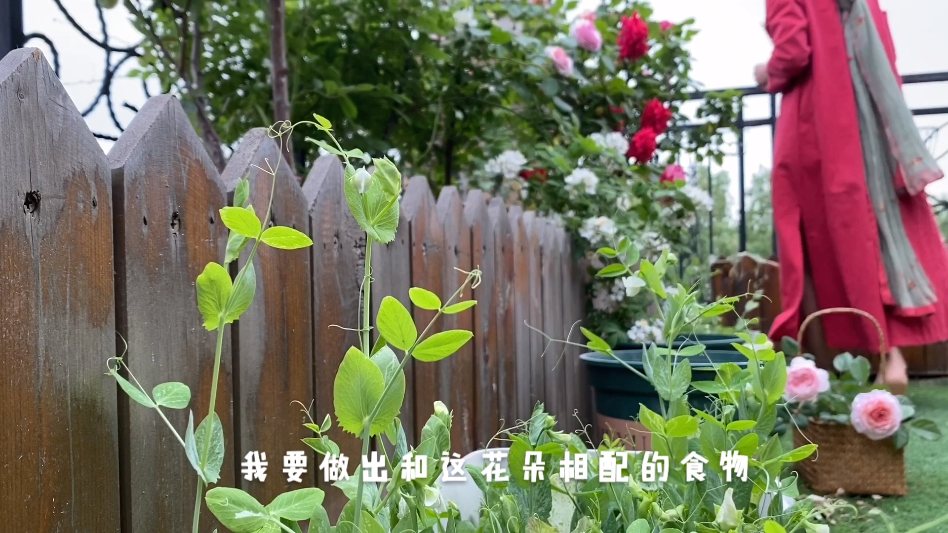 五月,这是它们最美的季节……哔哩哔哩bilibili