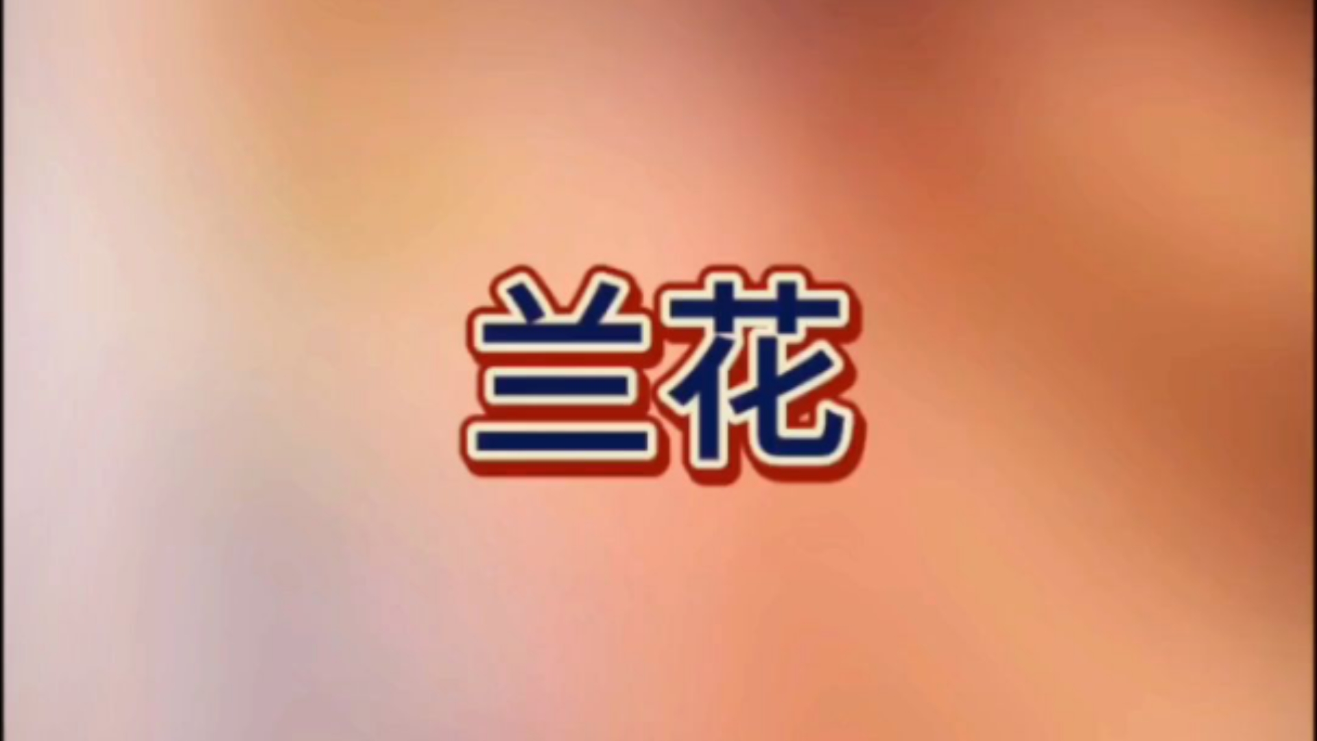 兰花哔哩哔哩bilibili