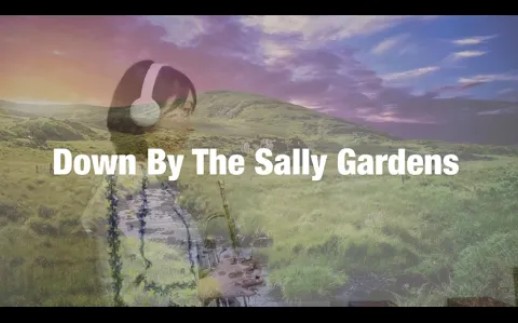 [图]【小号】演奏《Down By The Sally Gardens》