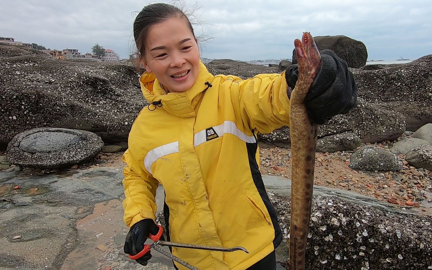 大浪天礁石区海货爆发,引来不少赶海人,渔家妹刚搜索就发现大货