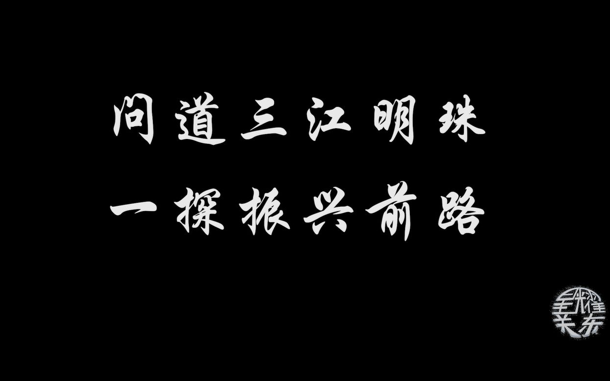 问道三江明珠,一探振兴前路哔哩哔哩bilibili