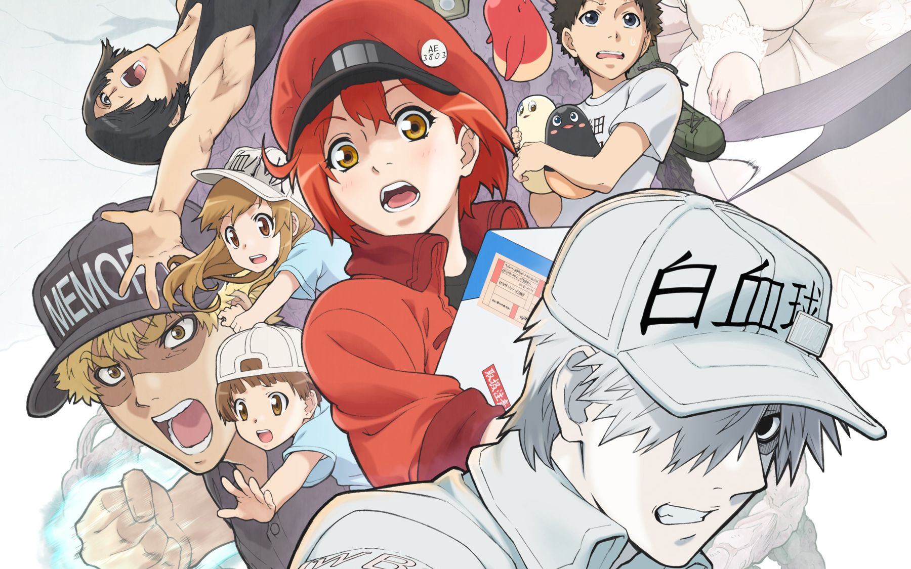 我可能看了假的工作细胞