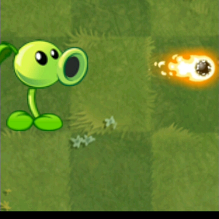 看!火焰豌豆_植物大战僵尸