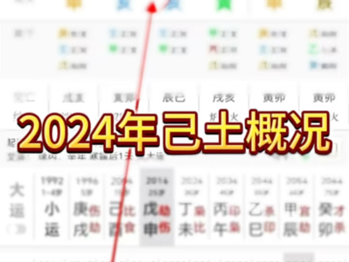 2024年己土概况哔哩哔哩bilibili