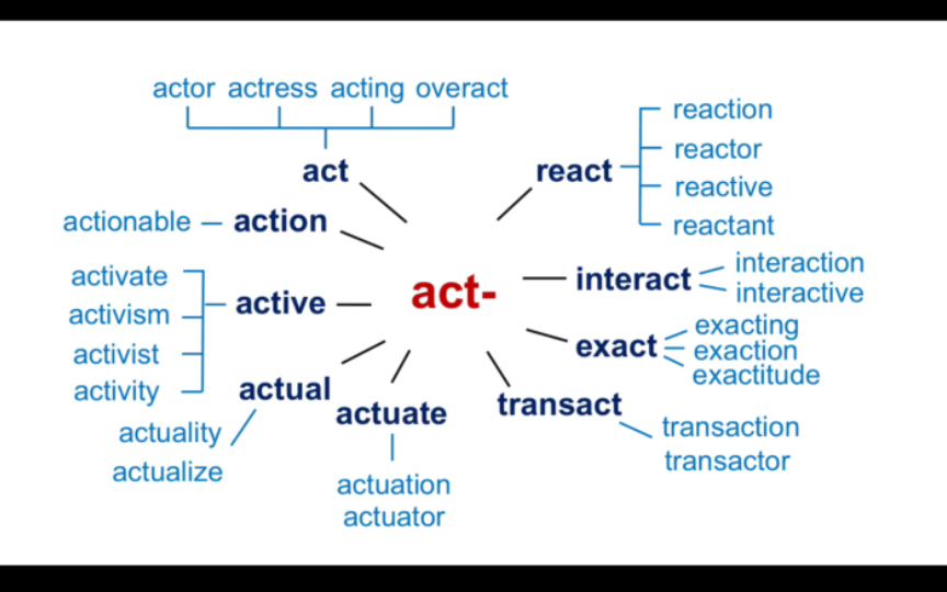 【词根词缀】act |原来action还可以用上法庭哔哩哔哩bilibili