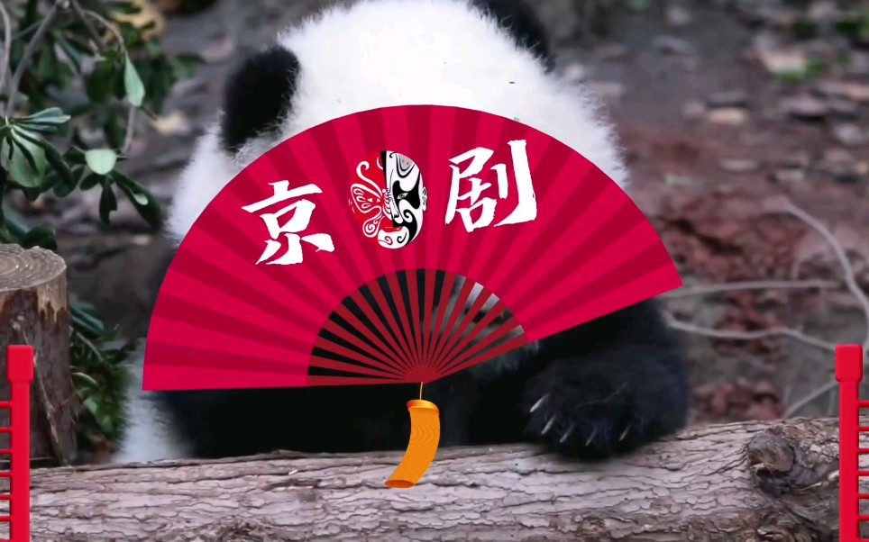 【大熊猫变脸】你见过大熊猫变脸吗?高颜值和花,来给大家变脸辣