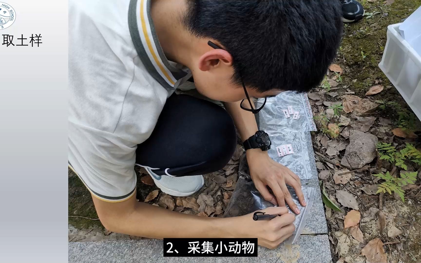 江苏省震泽中学柴博文-研究土壤中小动物类群的丰富度-实验说课视频