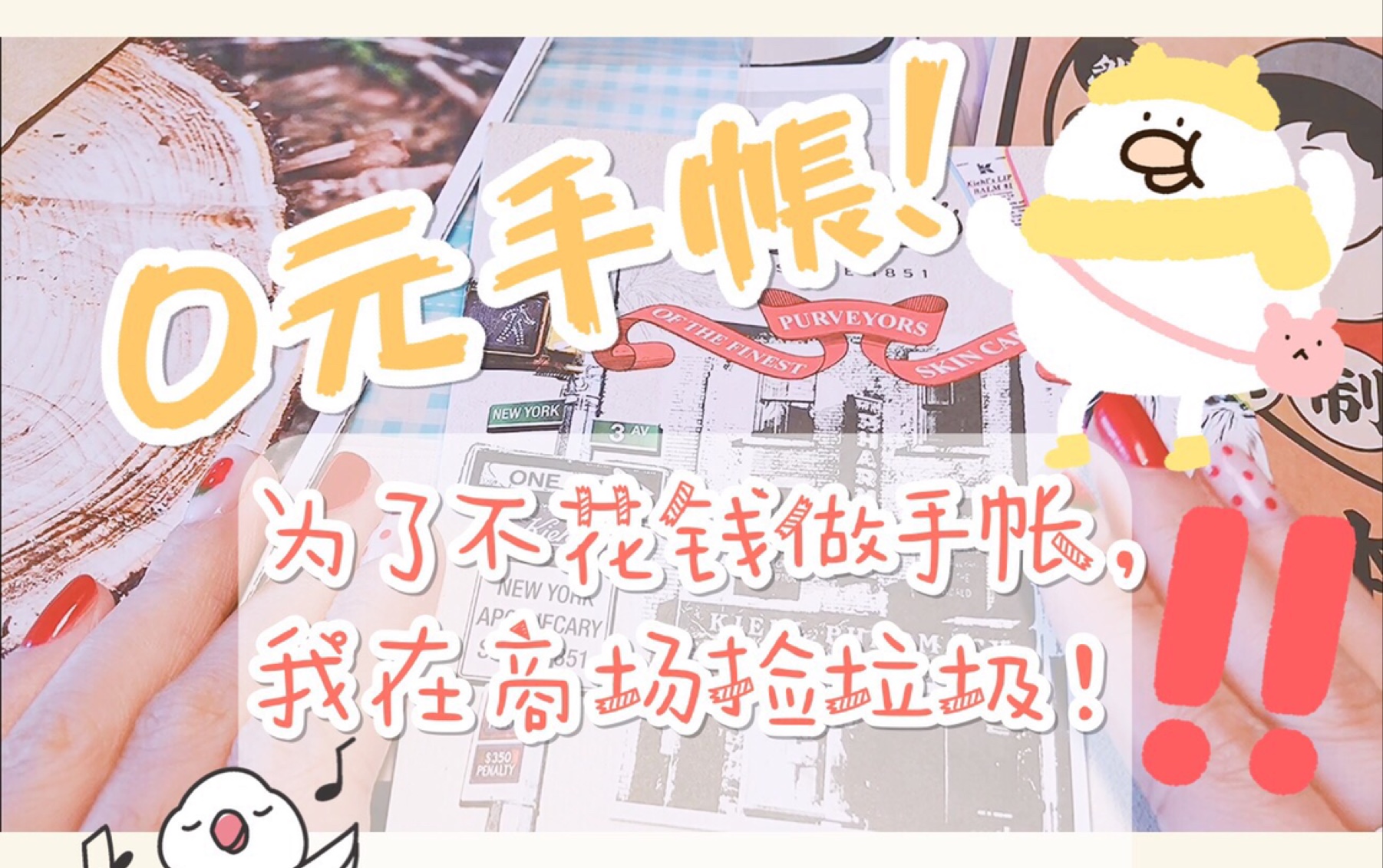 【PinkPurin】0元手帐!我在商场捡垃圾!?——变废为宝、不花钱、无成本手帐攻略!(๑냌𕡴—낌𕩥“”哩哔哩bilibili