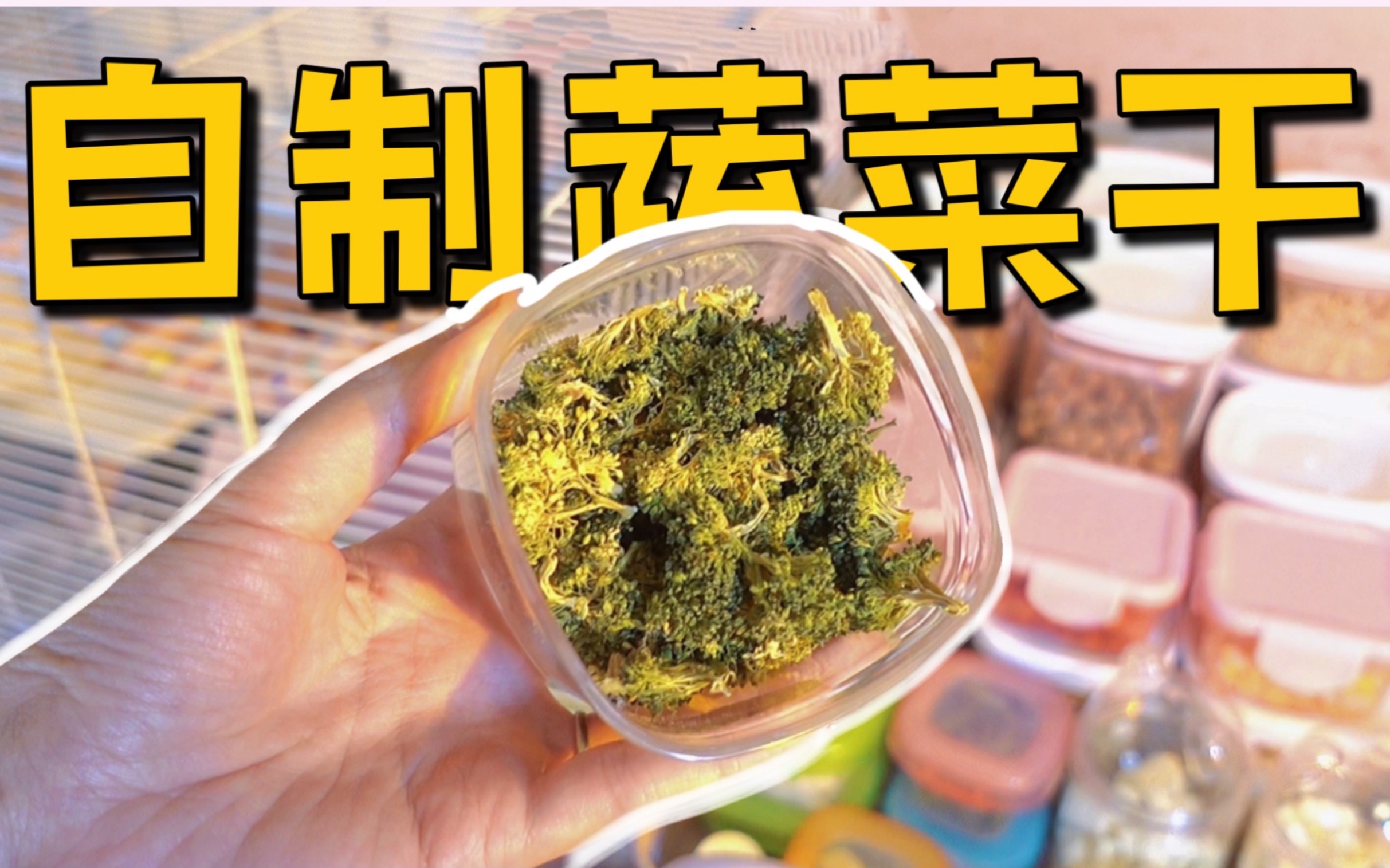 给我家花枝鼠做点蔬菜干哔哩哔哩bilibili