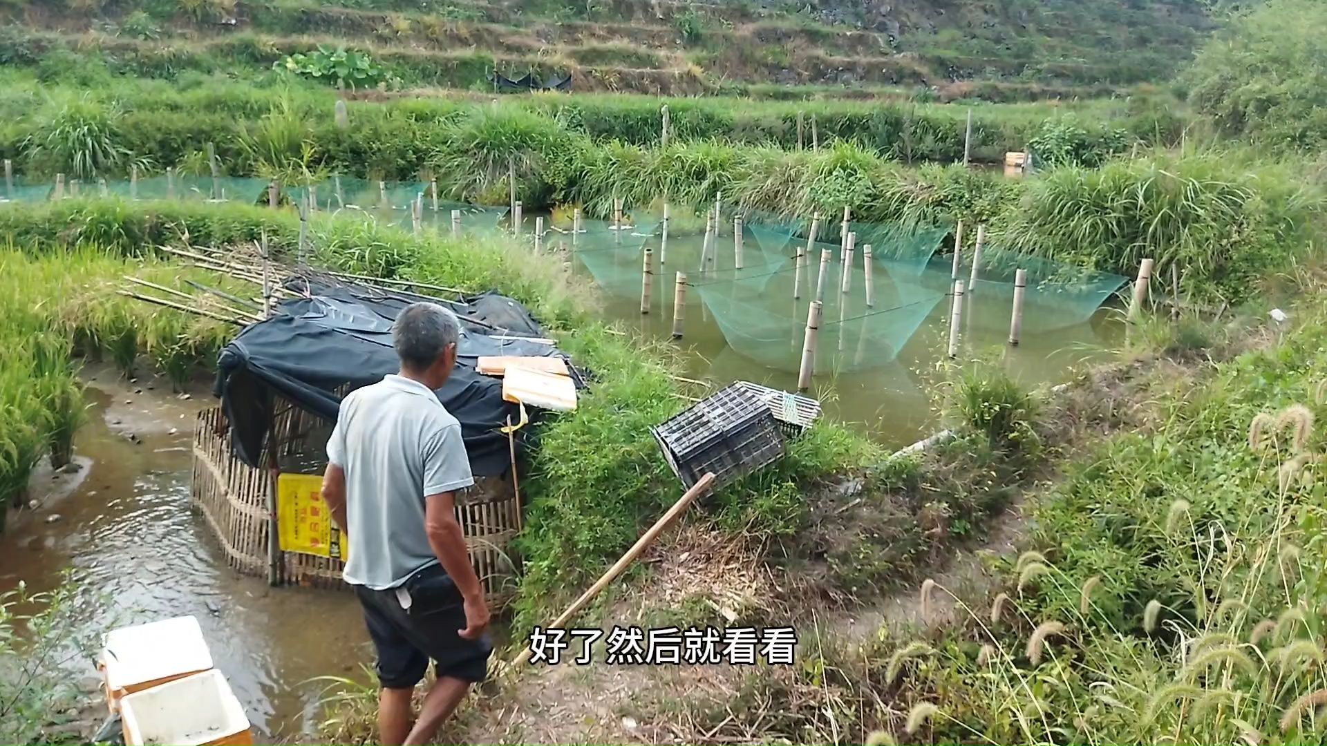 农村好路子,本钱少见效快周期短,小伙养殖20亩3年收入上百万哔哩哔哩bilibili