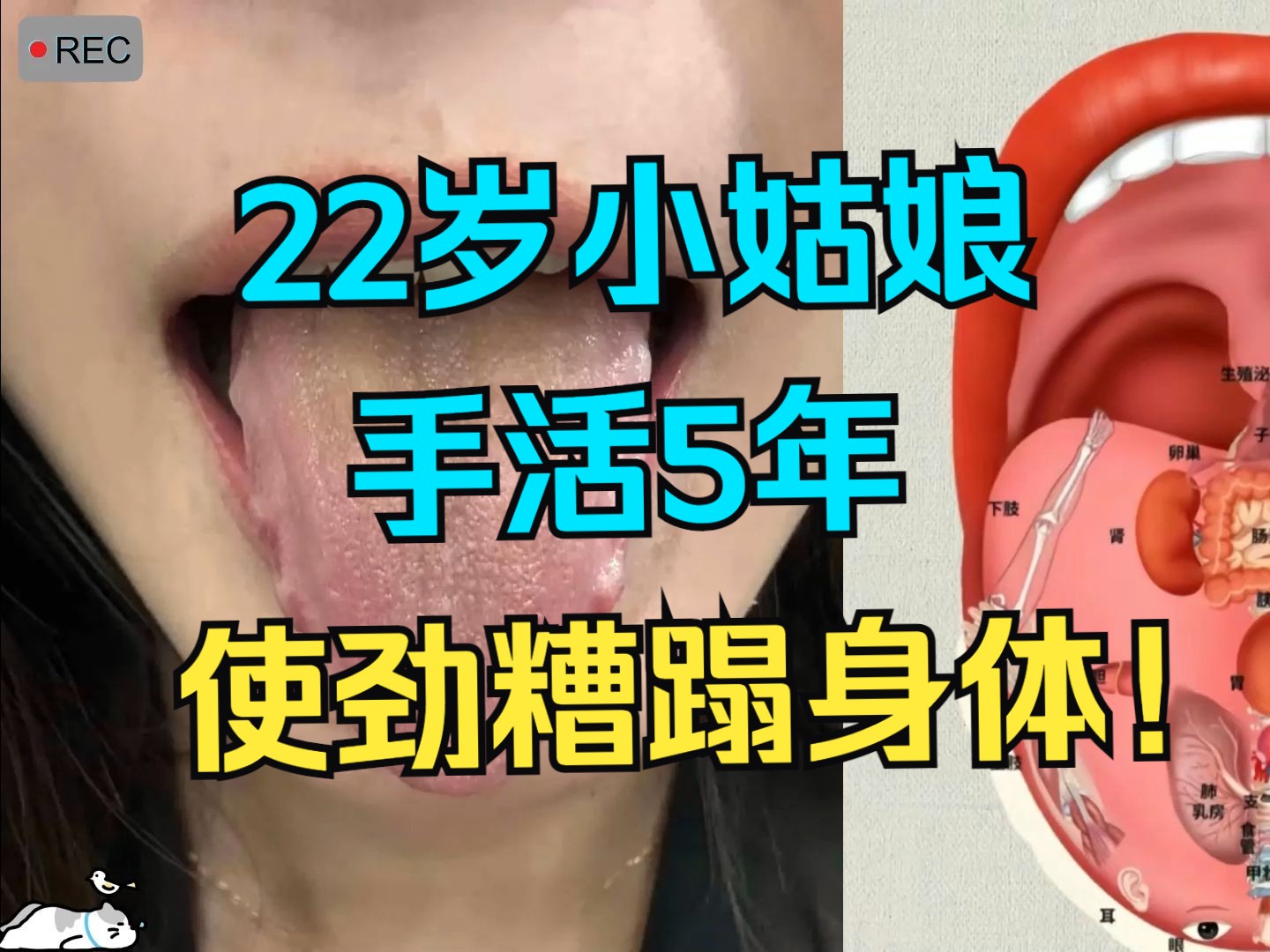 22岁小姑娘,频繁手活5年,每天3~4次,使劲糟蹋自己身体!!哔哩哔哩bilibili