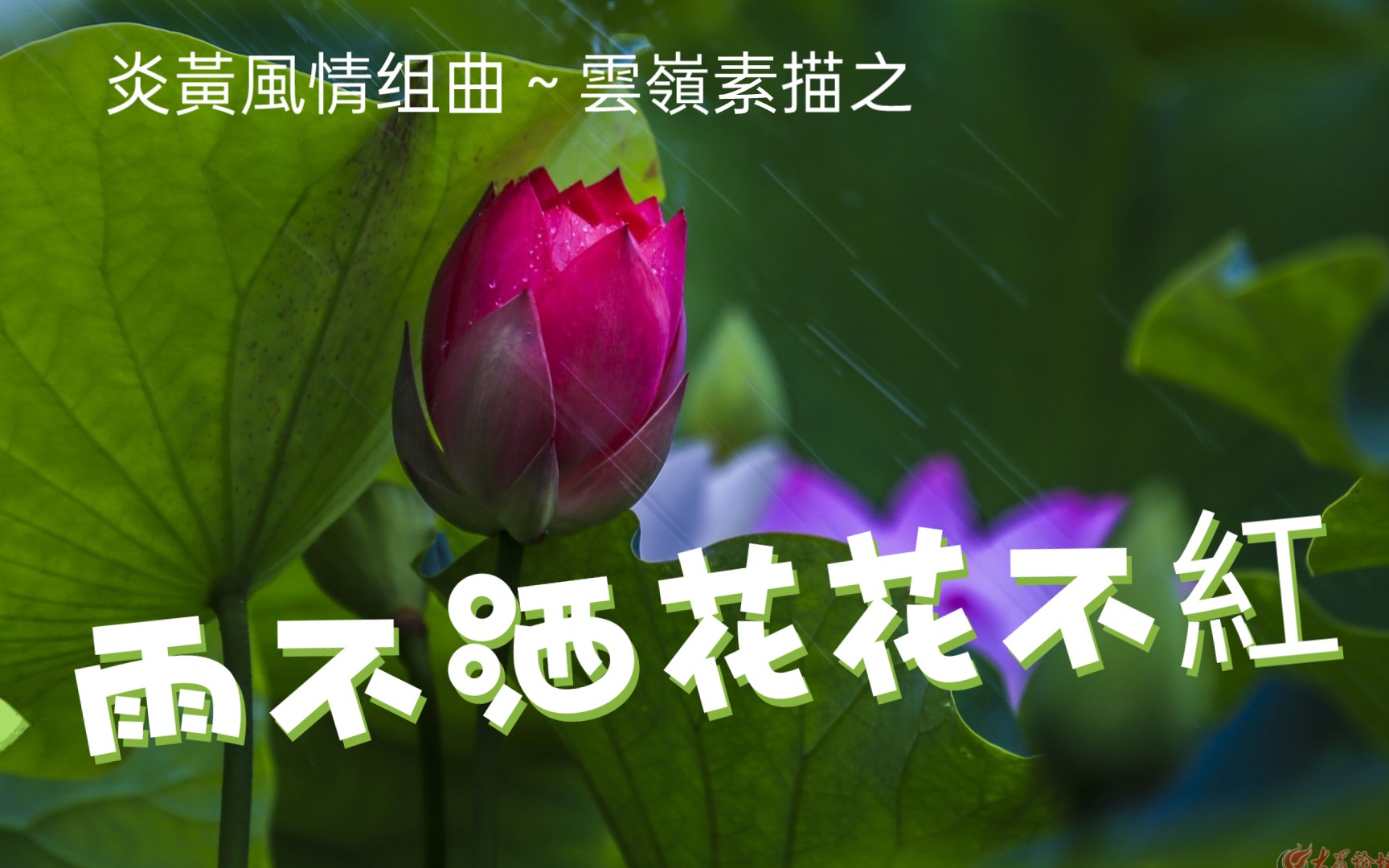 [图]炎黄风情组曲~云岭素描之雨不洒花花不红〔盛世国乐剪辑〕作曲：鲍元恺｜指挥：李京展｜演奏：宁波交响乐团