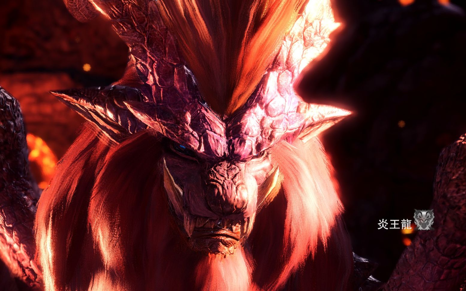 泥鱼龙双刀练习向手残如何刷炎王龙