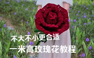 Tải video: 1米高玫瑰花手工教程