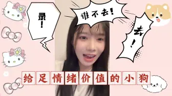 Download Video: 【吴羽霏】给足闹闹情绪价值的小狗霏丨哇塞！丨去！丨拍！丨录！