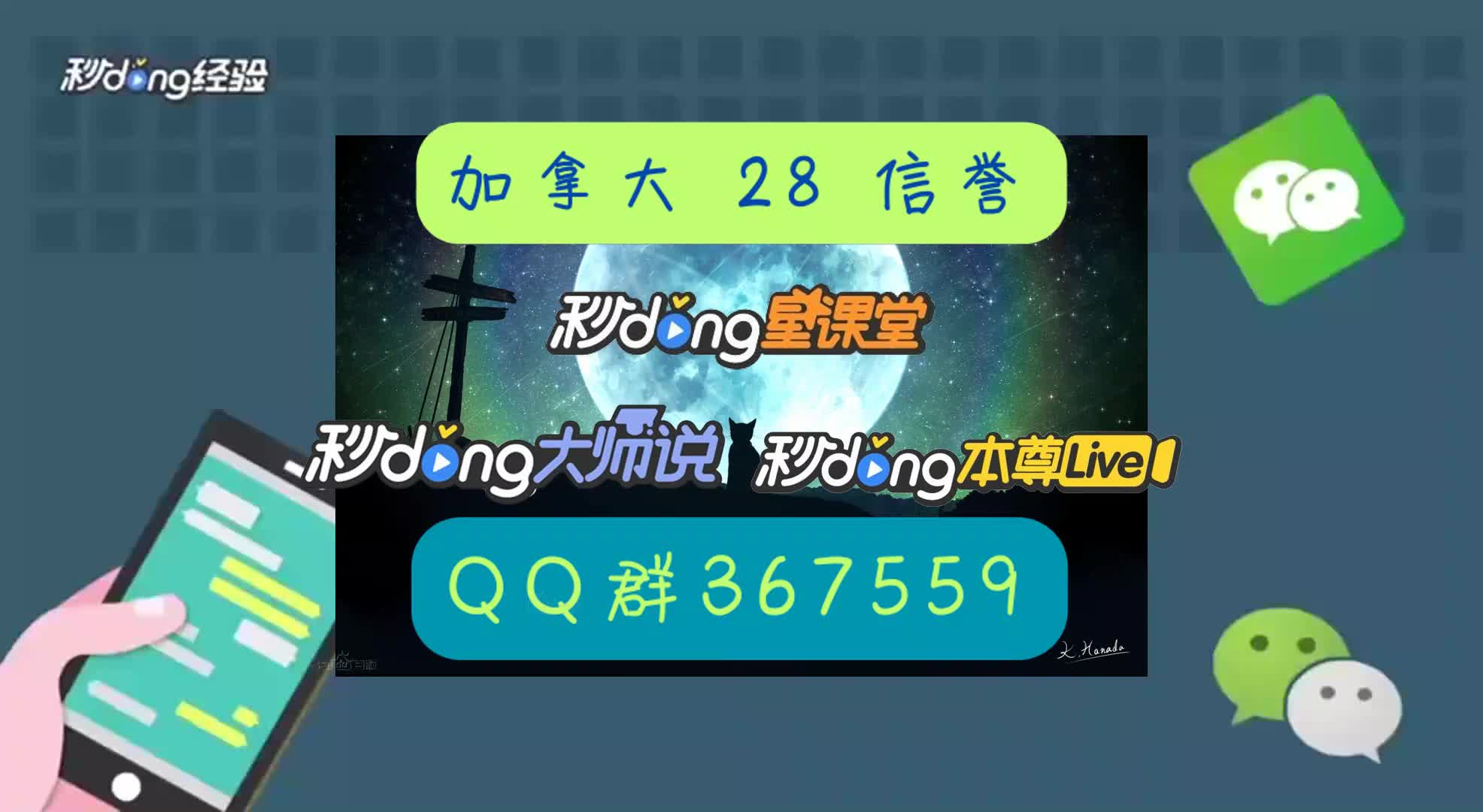 1分钟了解加拿大预测28凤凰杀组合4
