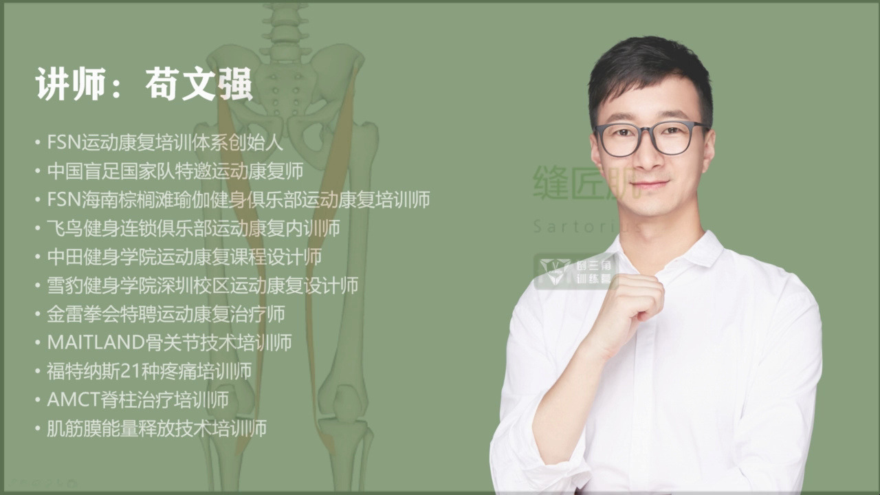 33肌肉解剖之缝匠肌