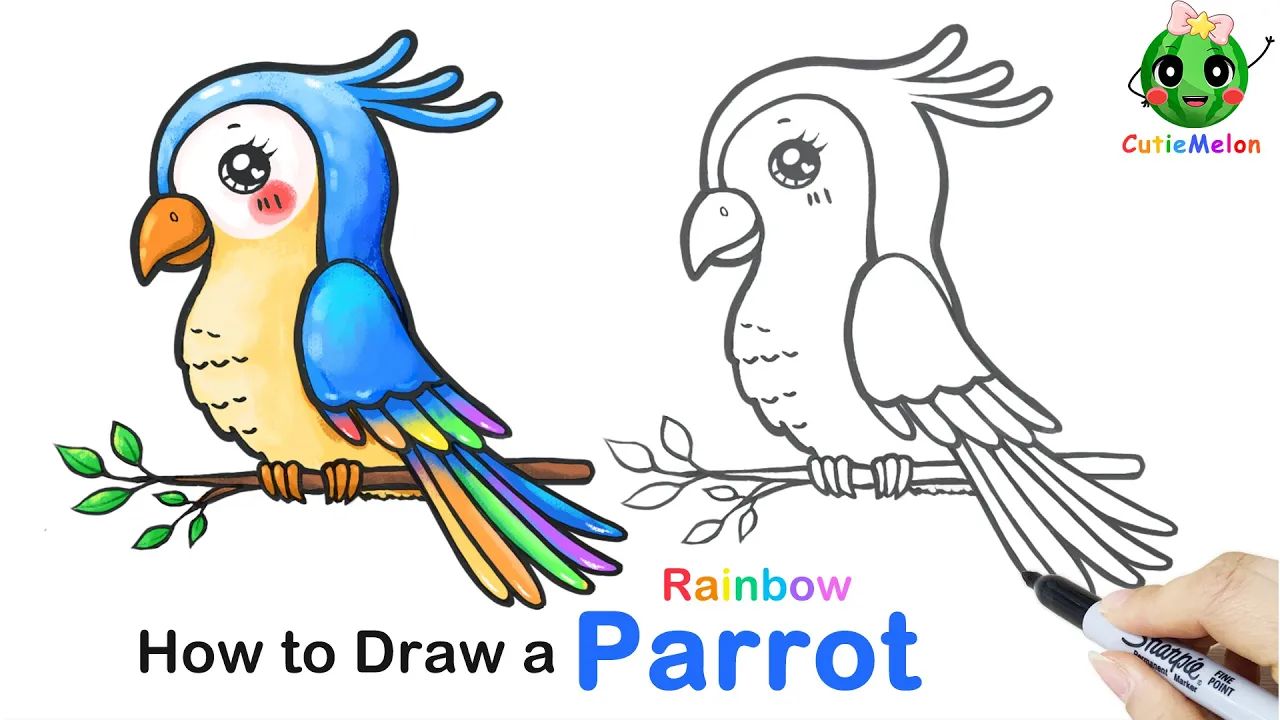 儿童简笔画彩虹鹦鹉𐟌ˆ𐟦œ How to Draw A Rainbow Parrot|Funny Animals|Easy Drawings for kids【哔哩哔哩bilibili