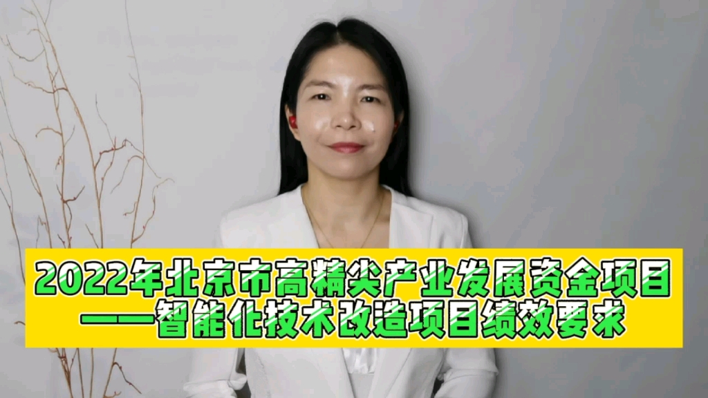 2022年北京市高精尖产业发展资金项目——智能化技术改造项目绩效要求.哔哩哔哩bilibili