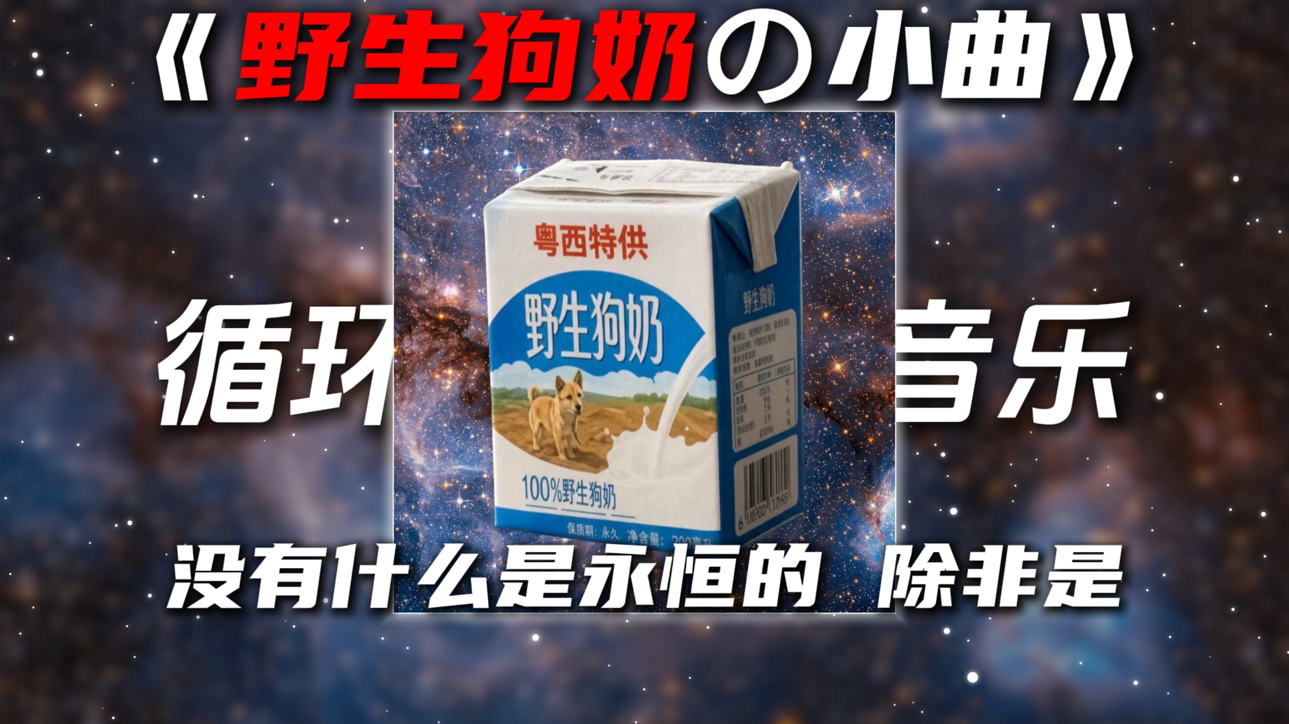 循环歌单|《野生狗奶の小曲》吹梦到西洲DJ