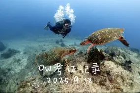2025.9.12OW考证记录学生：Long教练：火山By 初潜潜水