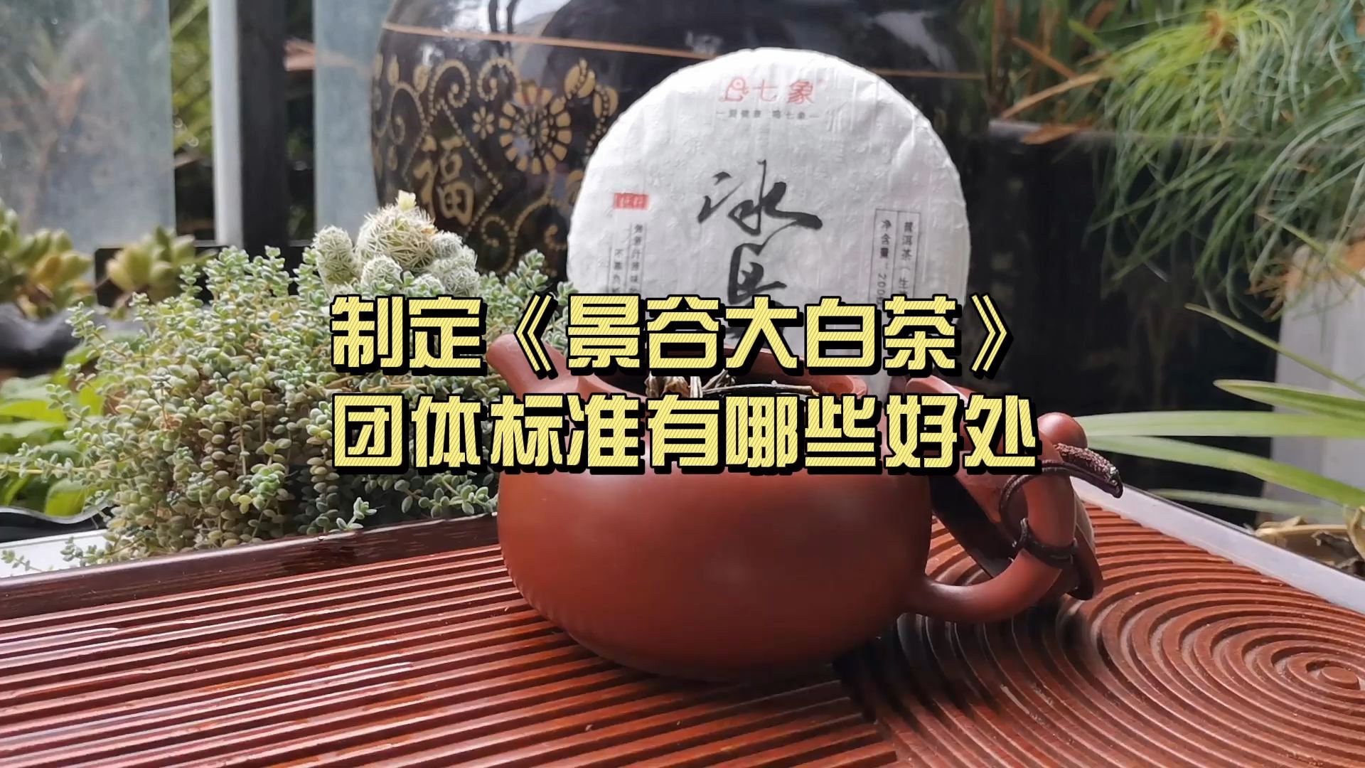 制定《景谷大白茶》团体标准有哪些好处?哔哩哔哩bilibili