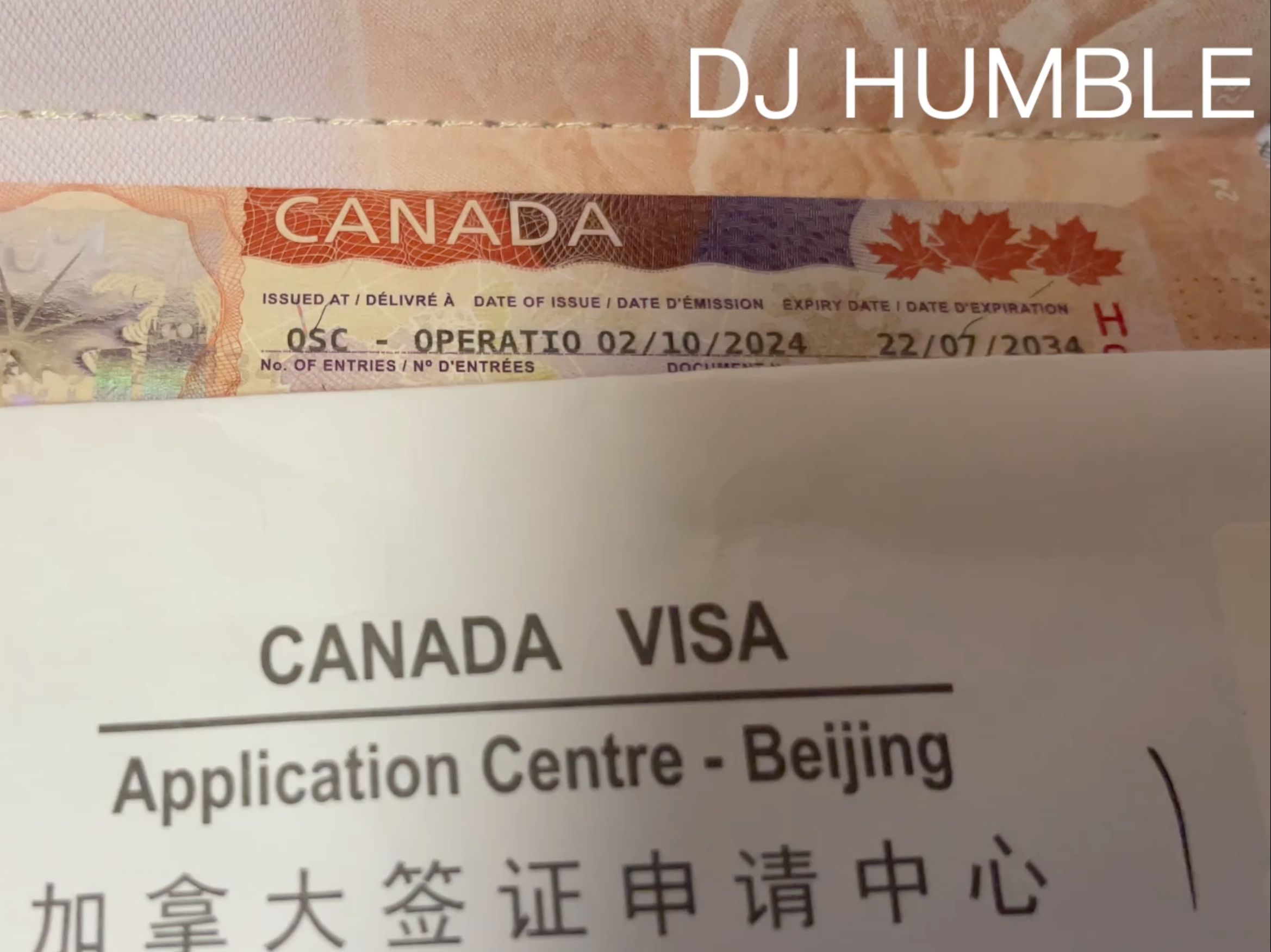 必须要知道的加签通过和省钱技巧!全网最细节加拿大签证讲解教学!