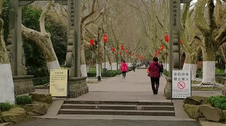 杭州黄龙月老祠求姻缘,月老祠里面拜了拜月老,然后花了三十选了一个锦囊,内有有签文还是上缘签!然后去了净慈寺的素春斋吃素斋哔哩哔哩bilibili