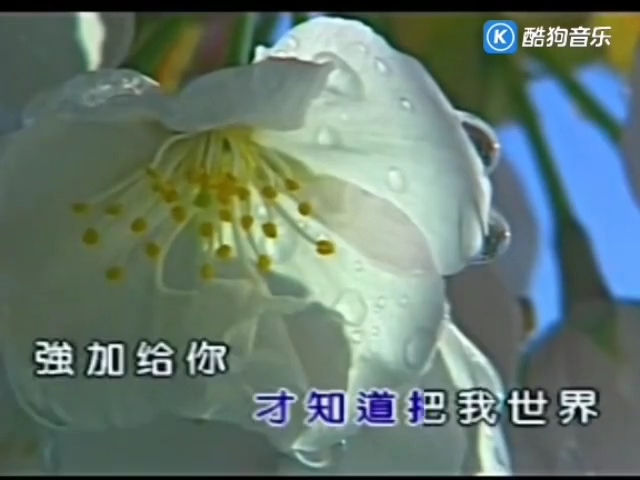 刀郎 - 冲动的惩罚(天赋唱片1)