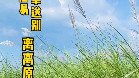 [图]古诗歌曲《赋得古原草送别》