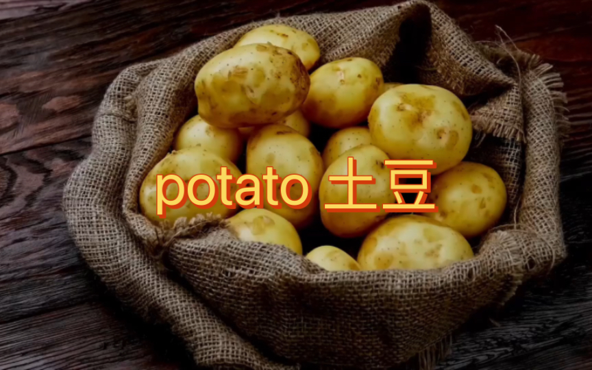 英语说词解字potato哔哩哔哩bilibili