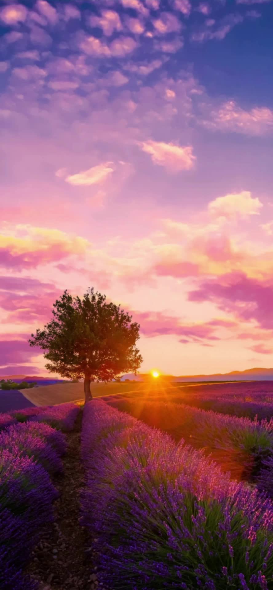 每日分享壁纸情侣头像动漫头像~喜欢的加关注 收藏