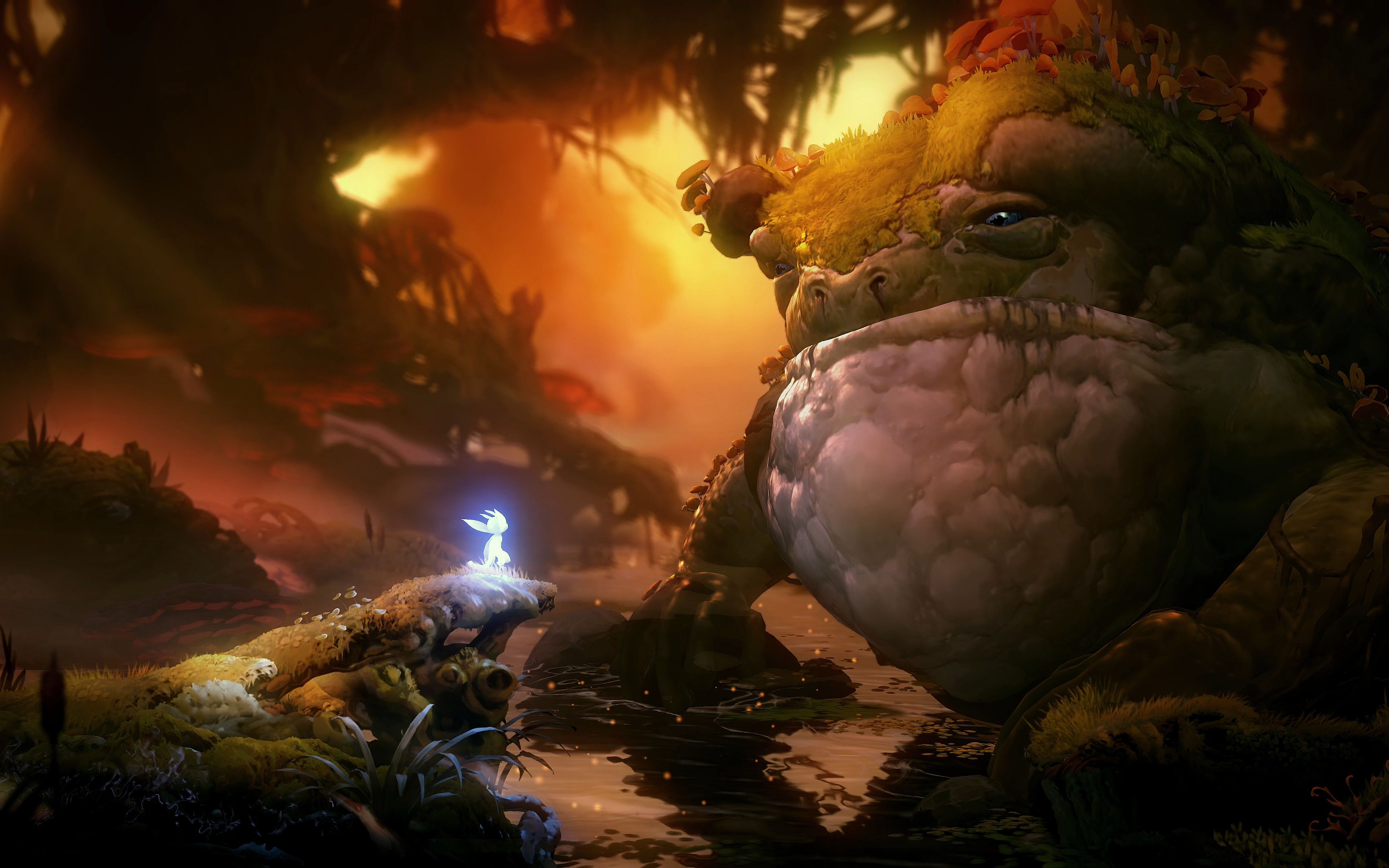 【狗b】《精灵与萤火意志》(第8.5期):迷失在天堂