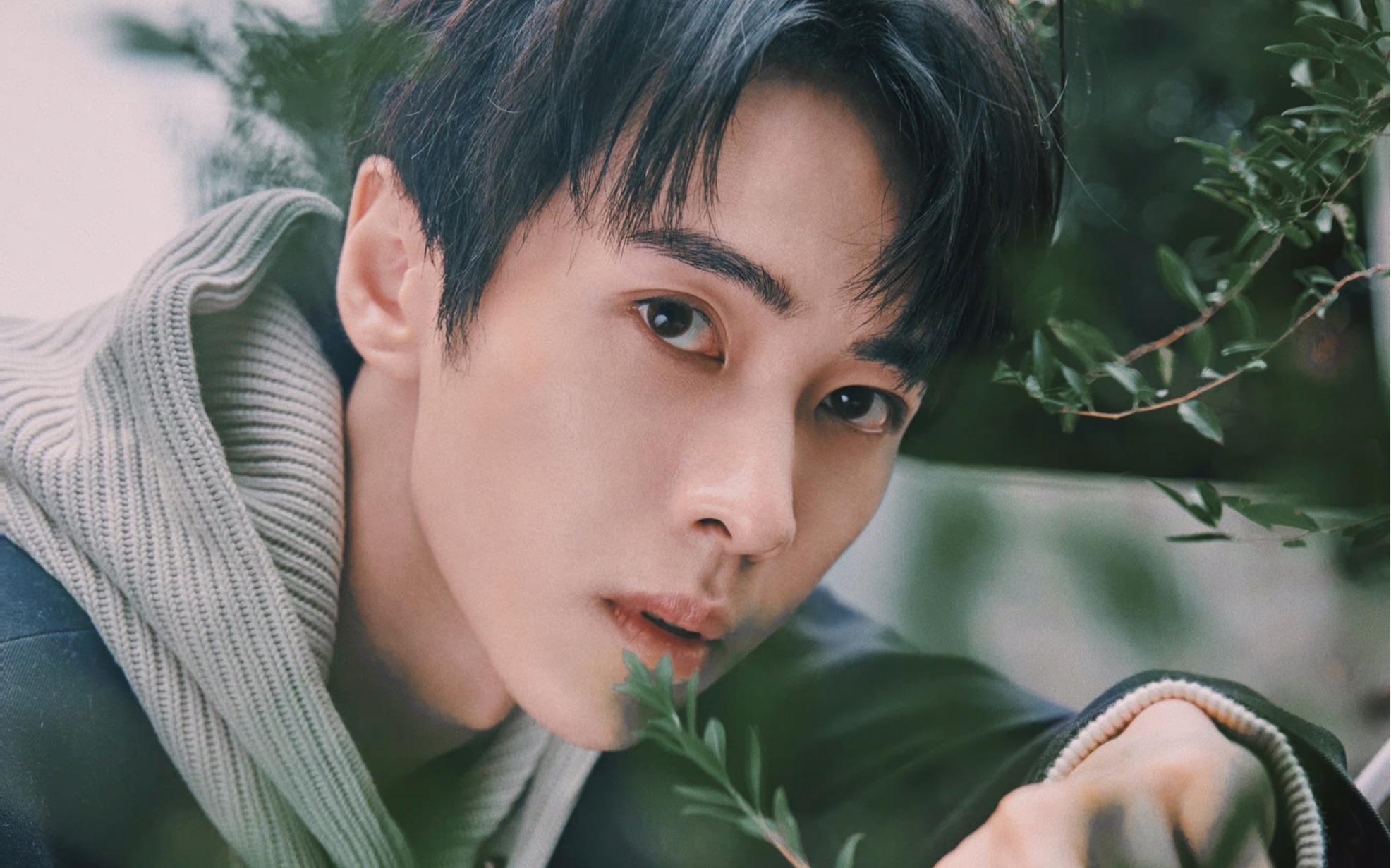 【杨非同】211231 现场唱克莱因蓝