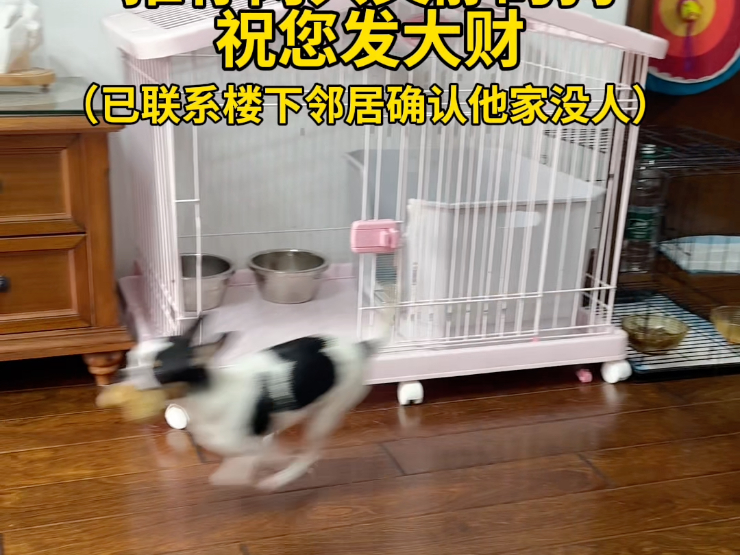 宠物店老板特别好!!!特别特别好!!!祝他发大财吧哔哩哔哩bilibili