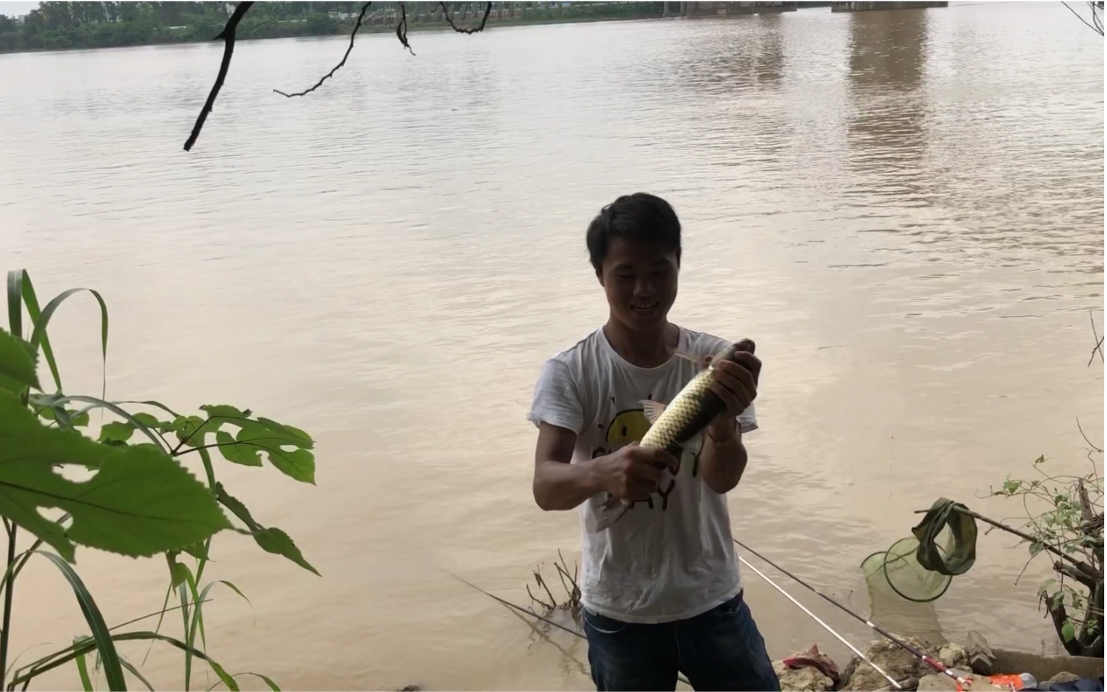 陈俊哥野钓,这么大的鱼也能自投罗网?大鱼哥,您迷路了吧?