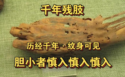 新疆洋海古墓群出土的千年断肢,距今2500~3000年之间,大部分断肢上都有清晰且精美的纹身可见.现藏于吐鲁番博物馆.哔哩哔哩bilibili