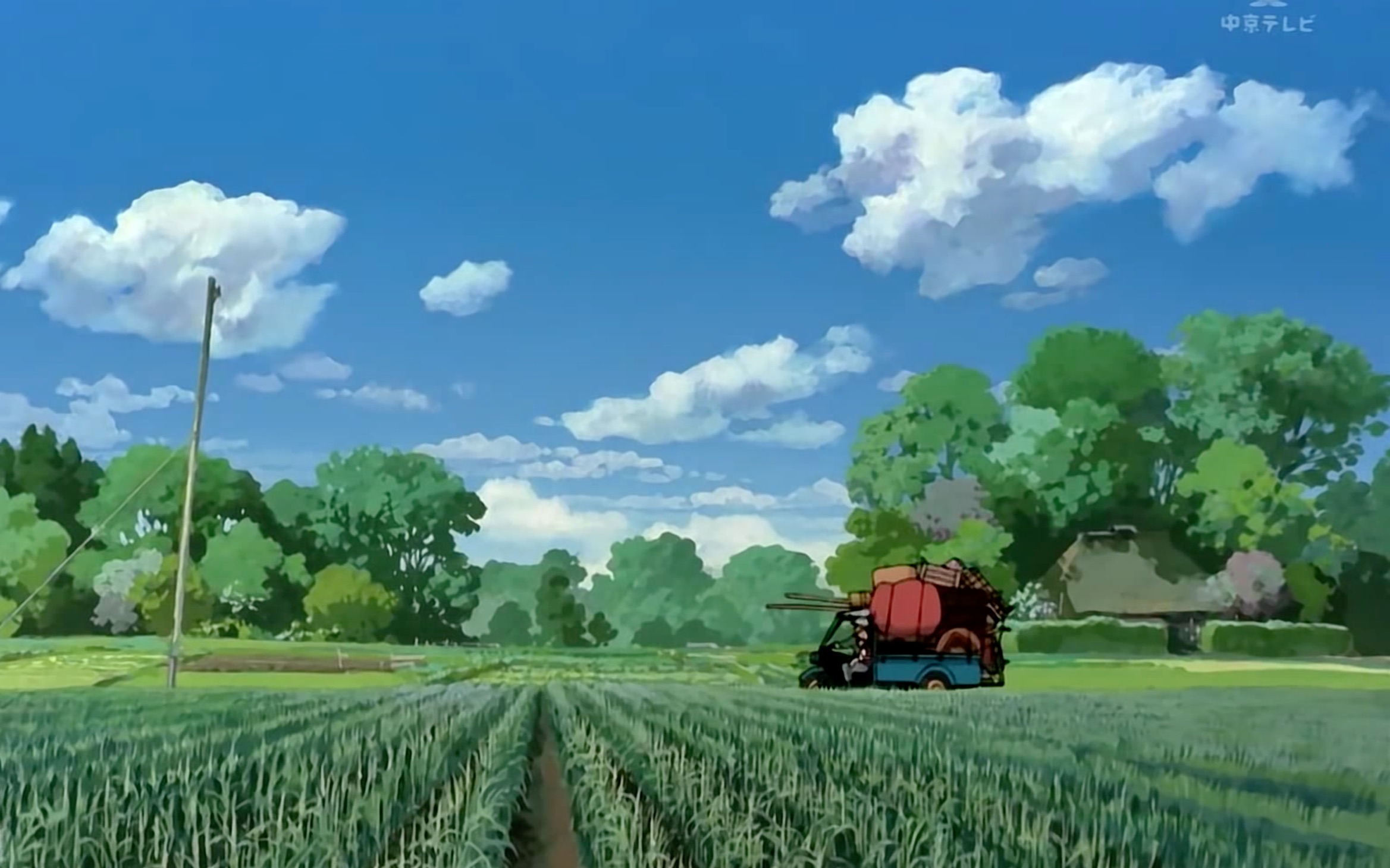 儿时的夏天|肆意奔跑在每一个无忧无虑的夏天