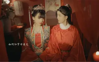 赦免花 哔哩哔哩 Bilibili