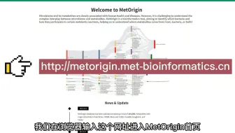 iMeta | MetOrigin代谢物溯源和肠道微生物组与代谢组整合分析保姆级教程