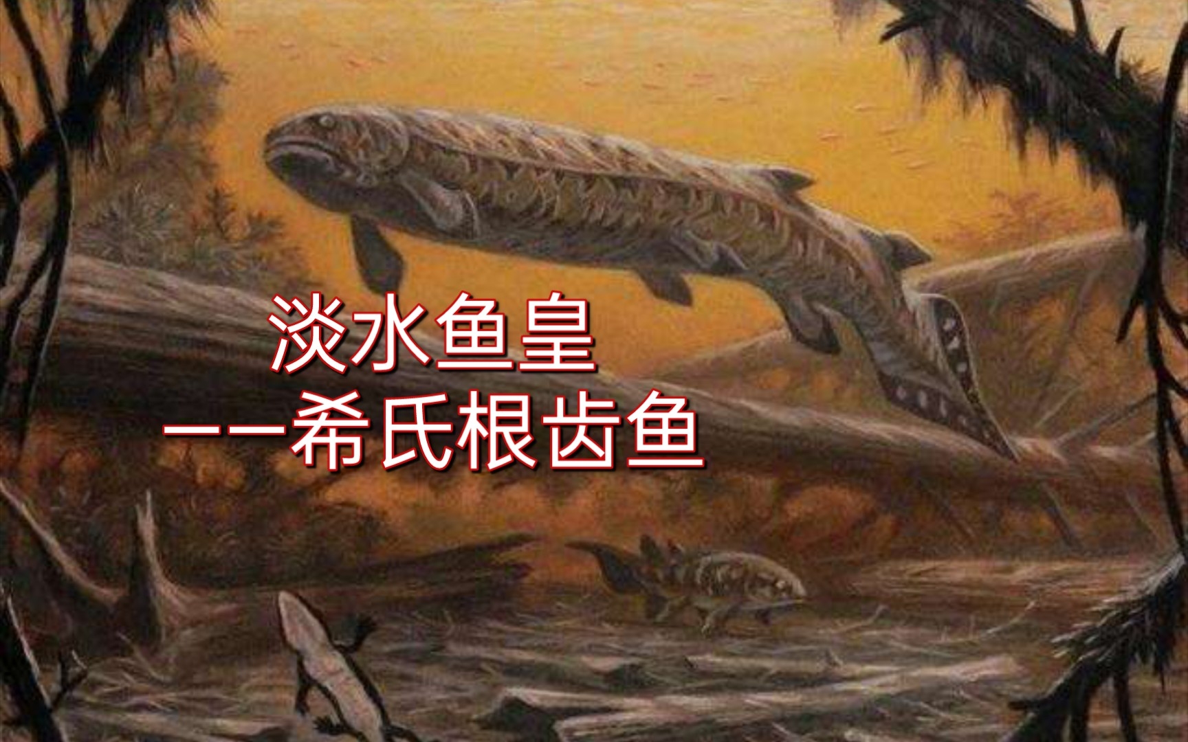 [图]【古生物科普】希氏根齿鱼